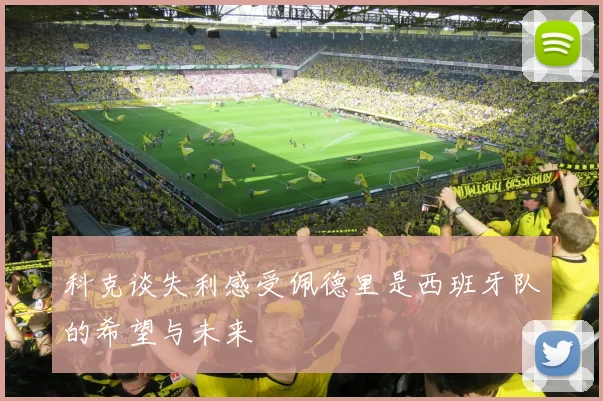 科克谈失利感受佩德里是西班牙队的希望与未来