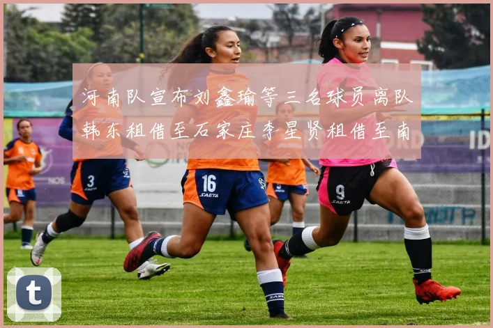 河南队宣布刘鑫瑜等三名球员离队韩东租借至石家庄李星贤租借至南通