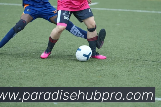 百乐达斯娱乐场平台生态图